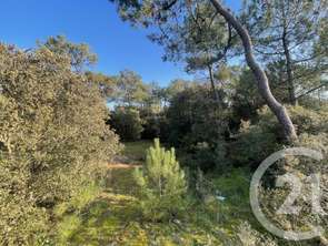 Vente Terrain 1100 m&sup2;Saint-Hilaire-de-Riez