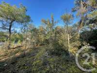 Vente de terrain