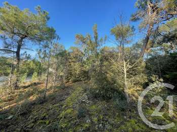Vente de terrain