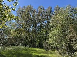 Photo Vente de terrain Saint-Hilaire-de-Riez