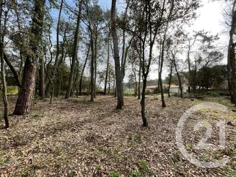 Vente de terrain Saint-Hilaire-de-Riez 85