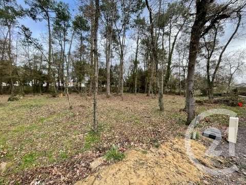 Vente de terrain Saint-Hilaire-de-Riez 85