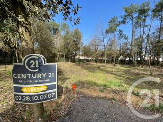 Vente de terrain