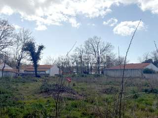Vente de terrain