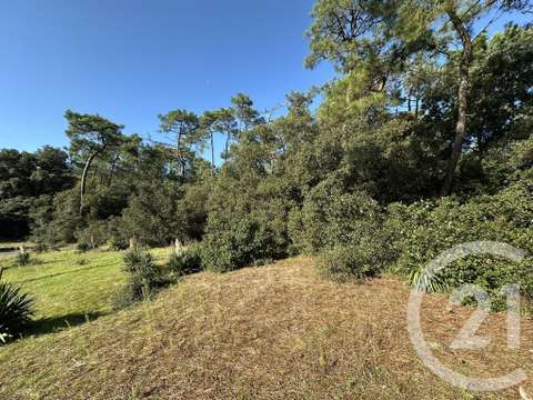 Vente de terrain