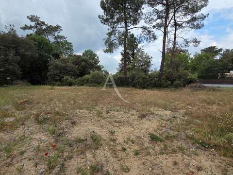 Vente de terrain Saint-Hilaire-de-Riez 85