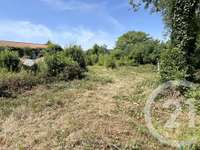 Vente de terrain