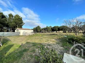 Vente de terrain