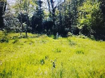 Vente de terrain