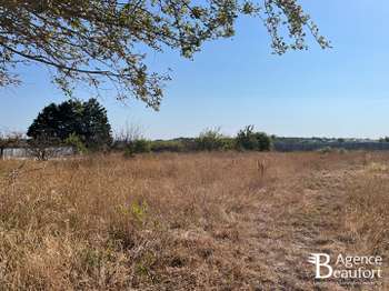 Vente de terrain Saint-Hilaire-de-Riez 85