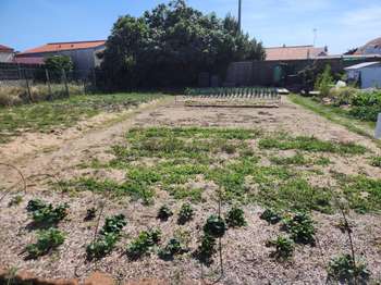 Vente Terrain 337 m&sup2;Saint-Hilaire-de-Riez