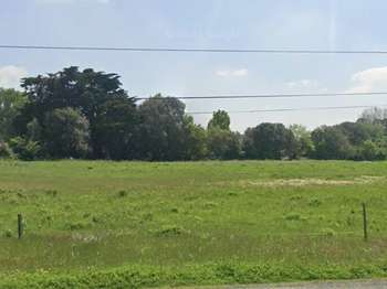 Vente Terrain 1318 m&sup2;Saint-Hilaire-de-Riez