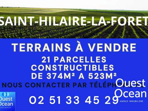 Vente de terrain Saint-Hilaire-la-Forêt 85