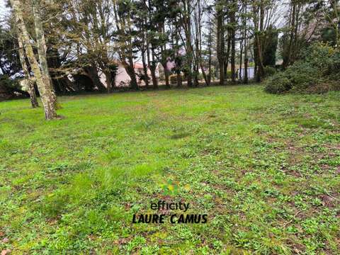 Vente de terrain Saint-Hilaire-la-Forêt 85