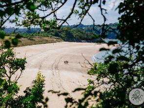 Vente Terrain 486 m&sup2;Saint-Jacut-de-la-Mer