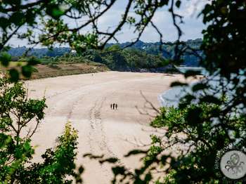 Photo Vente de terrain Saint-Jacut-de-la-Mer