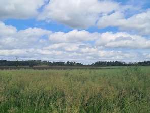 Vente Terrain 2047 m&sup2;Saint-Jacut-les-Pins