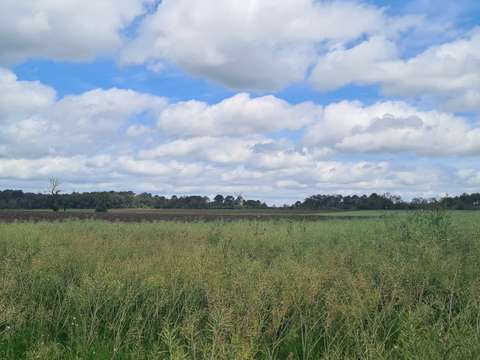 Vente de terrain Saint-Jacut-les-Pins 56