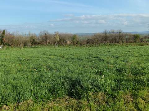 Vente de terrain Saint-Jean-d'Elle 50