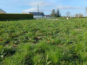 Vente Terrain 550 m&sup2;Saint-Jean-d'Elle