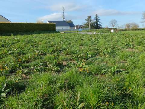 Vente de terrain Saint-Jean-d'Elle 50