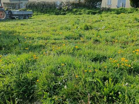 Vente de terrain Saint-Jean-d'Elle 50