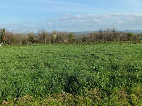 Vente de terrain Saint-Jean-d'Elle 50
