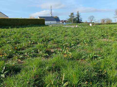 Vente de terrain Saint-Jean-d'Elle 50
