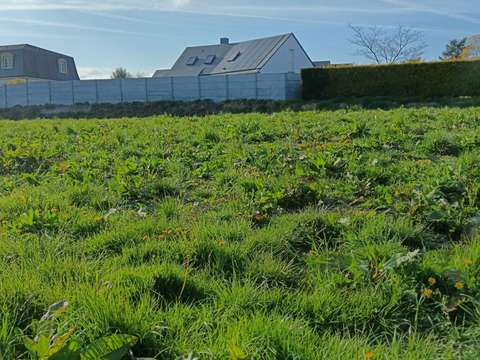 Vente de terrain Saint-Jean-d'Elle 50