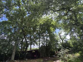 Vente Terrain 843 m&sup2;Saint-Jean-d'Illac