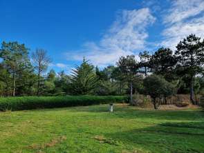 Vente Terrain 1453 m&sup2;Saint-Jean-de-Monts