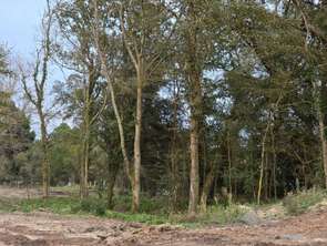 Vente Terrain 484 m&sup2;Saint-Jean-de-Monts