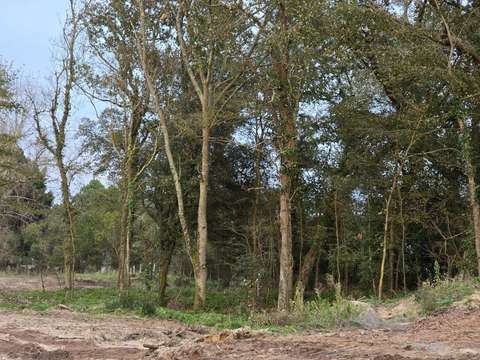 Vente de terrain Saint-Jean-de-Monts 85