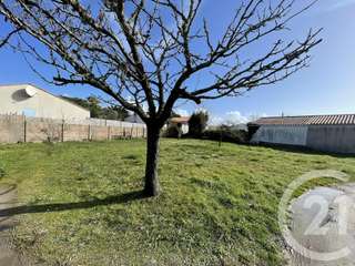 Vente de terrain