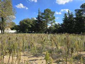 Vente Terrain 784 m&sup2;Saint-Jean-de-Monts