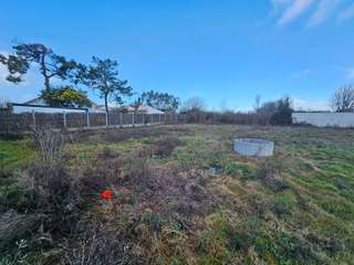 Vente de terrain