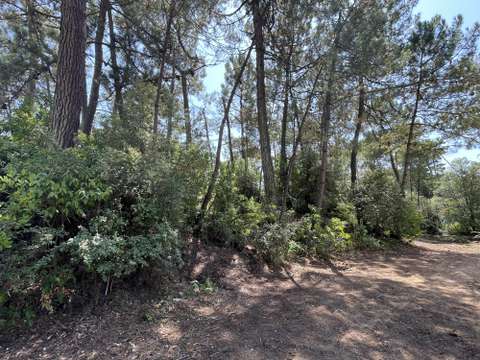 Vente de terrain Saint-Jean-de-Monts 85