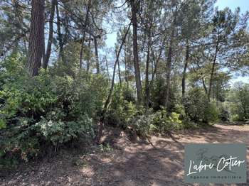 Vente Terrain 720 m&sup2;Saint-Jean-de-Monts