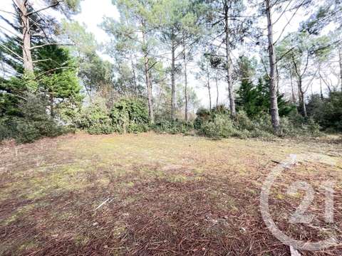 Vente de terrain Saint-Jean-de-Monts 85