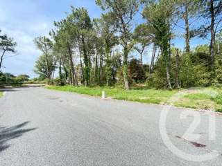 Vente de terrain