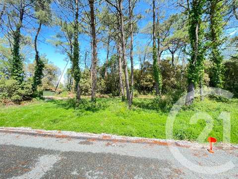 Vente de terrain Saint-Jean-de-Monts 85
