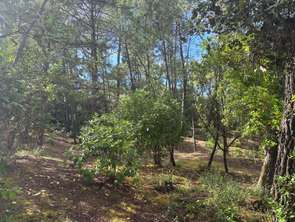 Vente Terrain 946 m&sup2;Saint-Jean-de-Monts