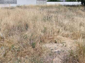 Vente Terrain 911 m&sup2;Saint-Jean-De-Monts Centre Ville-Plage