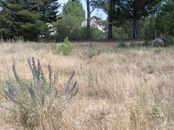 Vente Terrain 597 m&sup2;Saint-Jean-De-Monts Centre Ville-Plage
