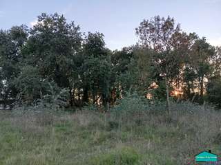Vente de terrain