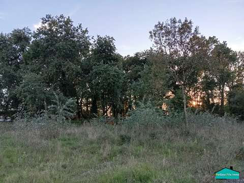 Vente de terrain