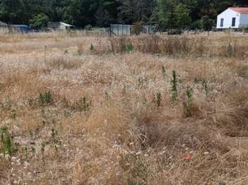 Vente Terrain 513 m&sup2;Saint-Jean-De-Monts Périphérie