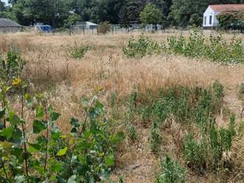 Vente Terrain 484 m&sup2;Saint-Jean-De-Monts Périphérie