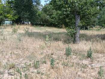 Vente Terrain 641 m&sup2;Saint-Jean-De-Monts Périphérie