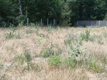 Vente Terrain 913 m&sup2;Saint-Jean-De-Monts Périphérie